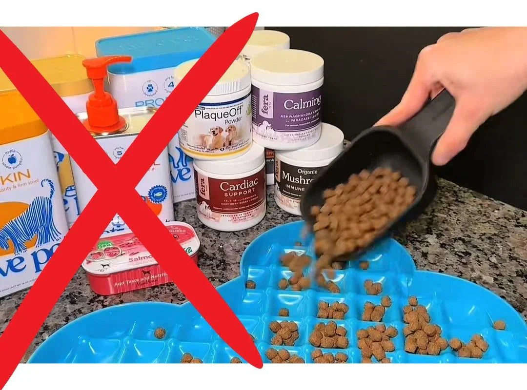 Shampoings, sprays et croquettes déjà essayés