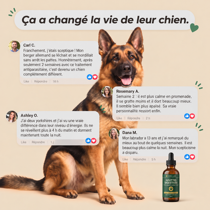 Kora Labs – Gouttes Digestives Pour Chien