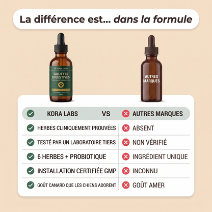 Kora Labs – Gouttes Digestives Pour Chien