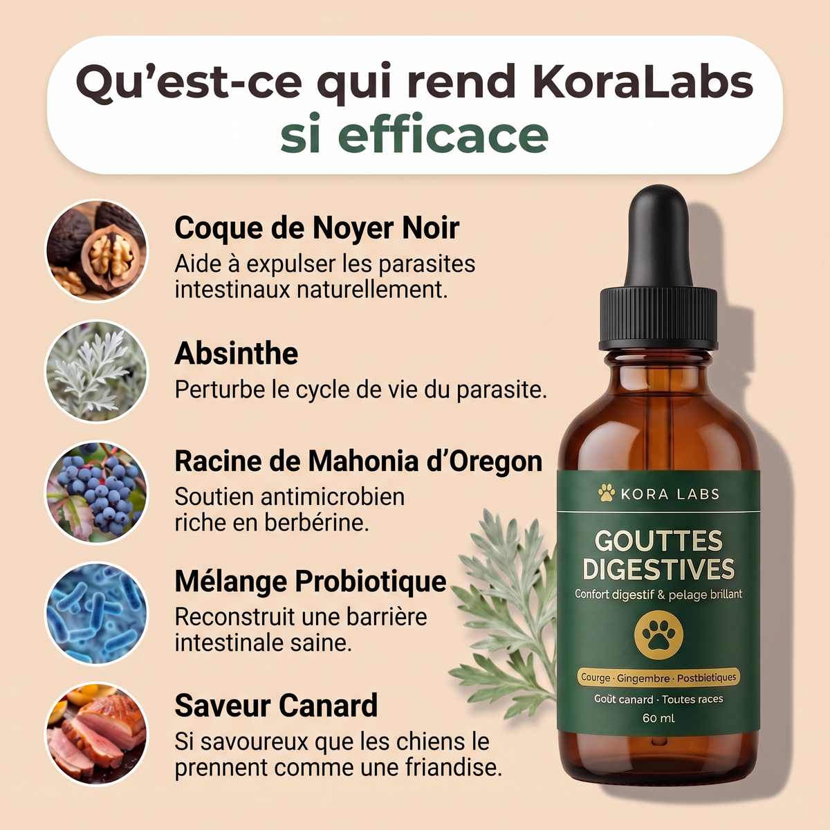 Kora Labs – Gouttes Digestives Pour Chien