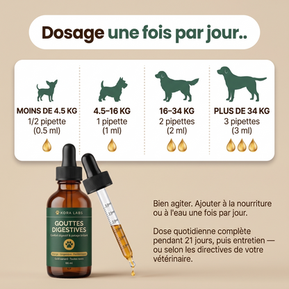 Kora Labs – Gouttes Digestives Pour Chien