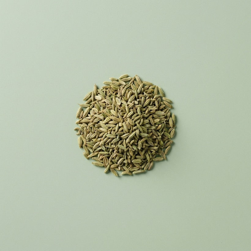 Graines de fenouil