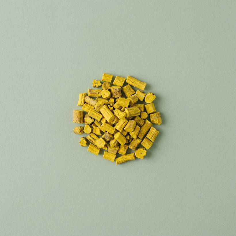 Racine de mahonia